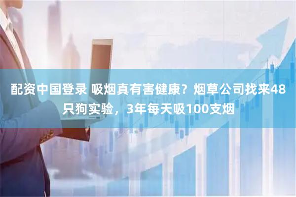 配资中国登录 吸烟真有害健康？烟草公司找来48只狗实验，3年每天吸100支烟