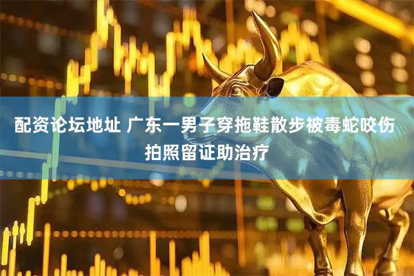 配资论坛地址 广东一男子穿拖鞋散步被毒蛇咬伤 拍照留证助治疗